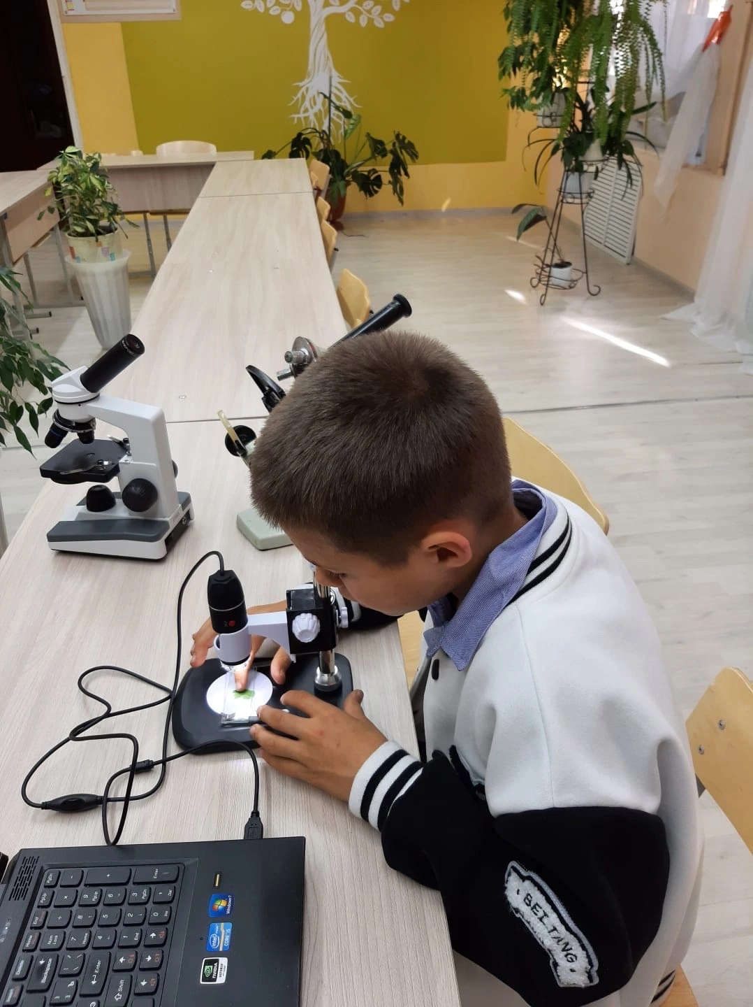 Урок &amp;quot; Устройство увеличительных приборов&amp;quot;.