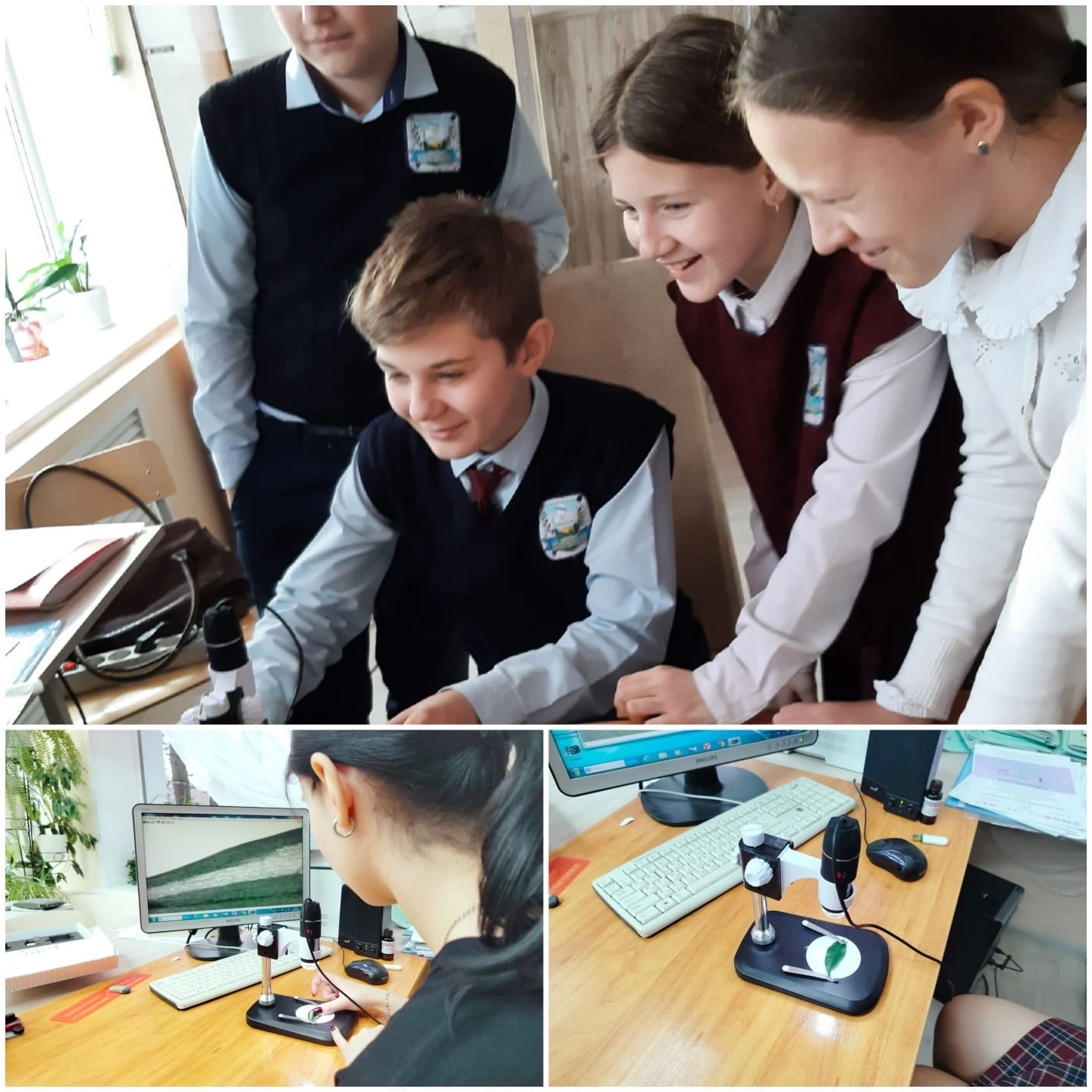 Урок биологии.