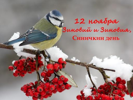Синичкин день.