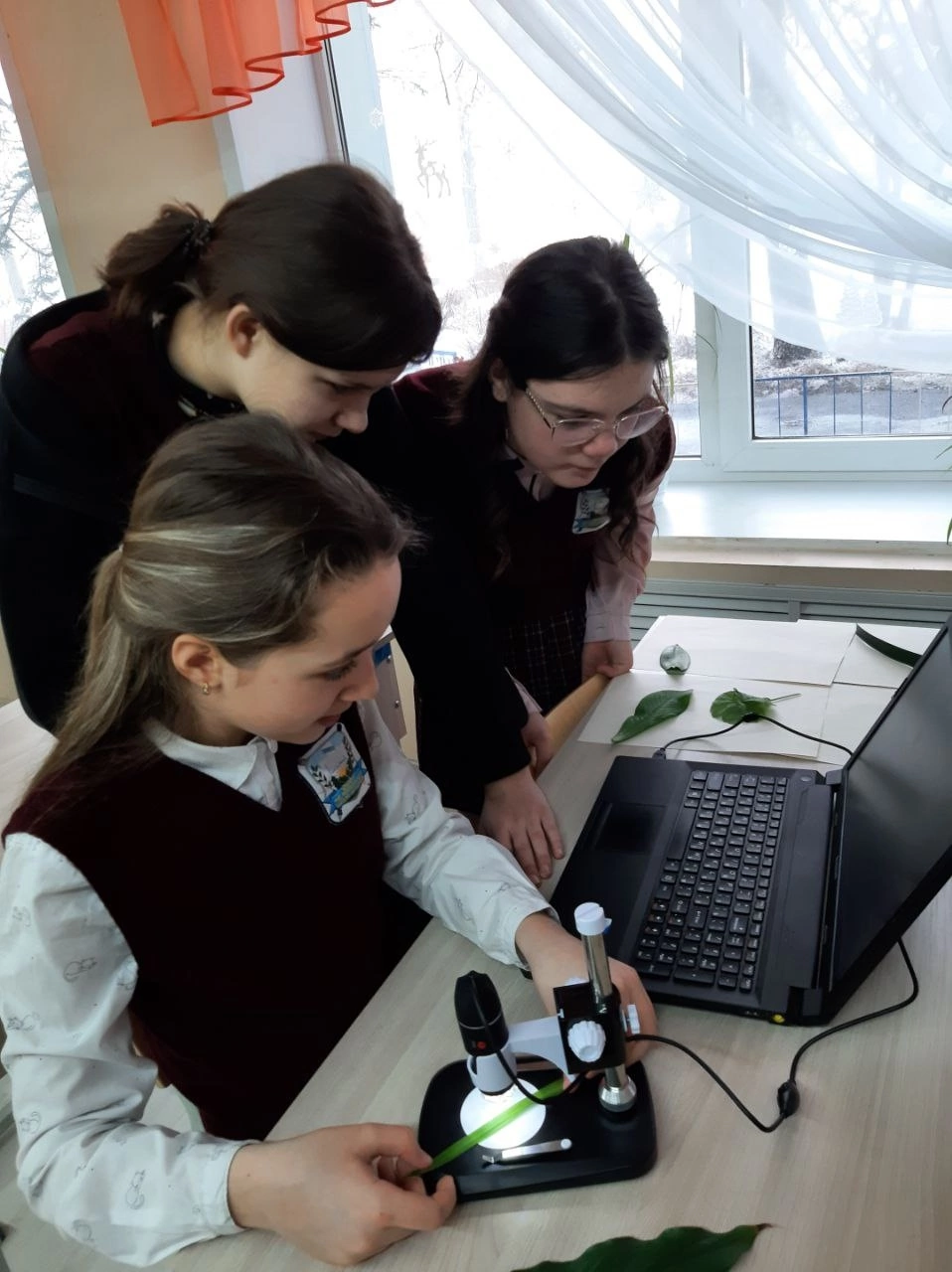 Урок биологии &amp;quot;Строение листа&amp;quot;..