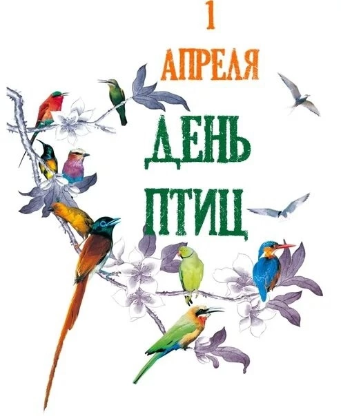 Международный день птиц.