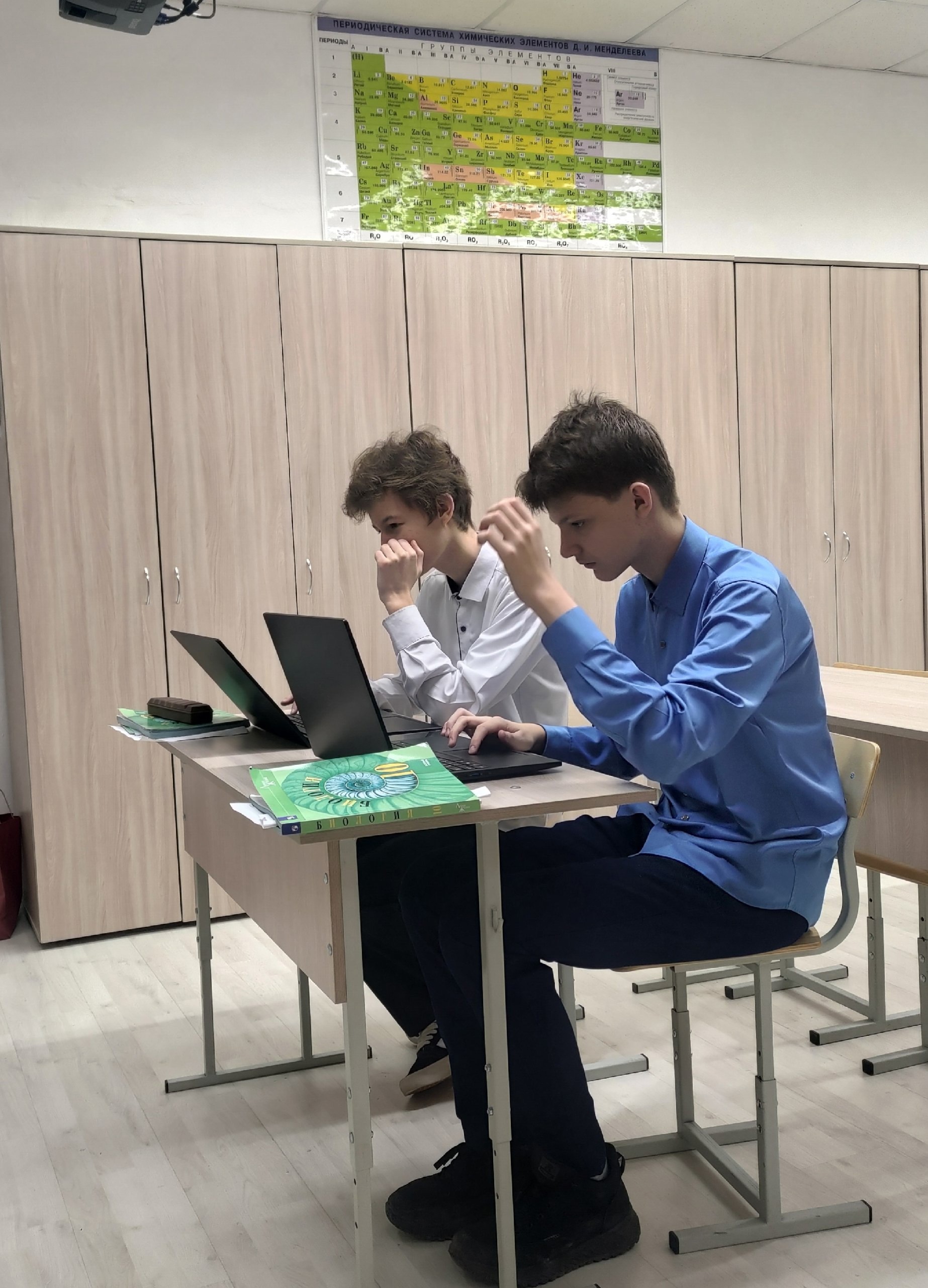 Урок биологии &amp;quot;Размножение организмов&amp;quot;.