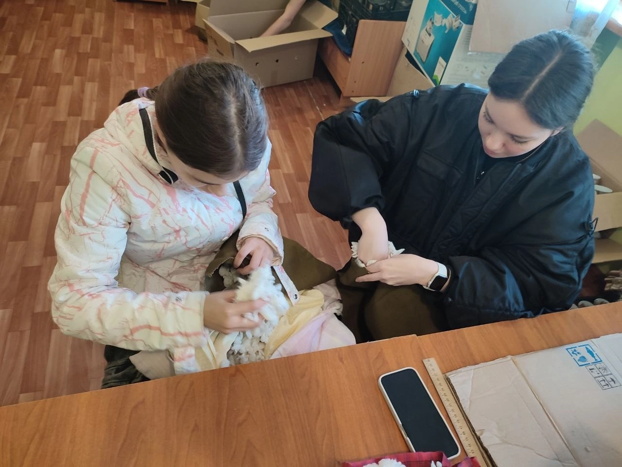 Внеурочная деятельность &amp;quot;Важные дела&amp;quot;.