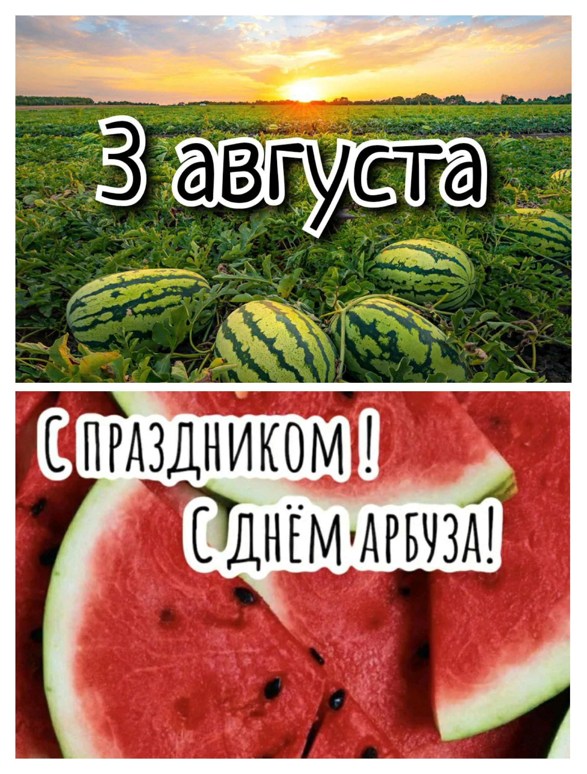 День арбуза.